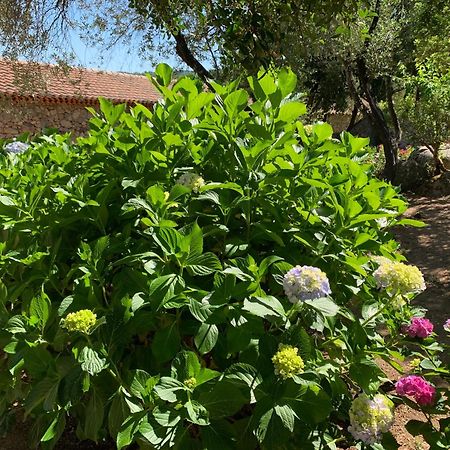 Hotel Valkarana Country Relais (Adults Only) Sant'Antonio di Gallura Exterior foto