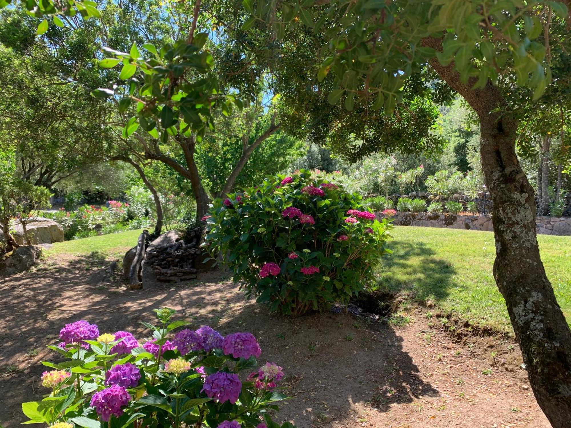 Hotel Valkarana Country Relais (Adults Only) Sant'Antonio di Gallura Exterior foto