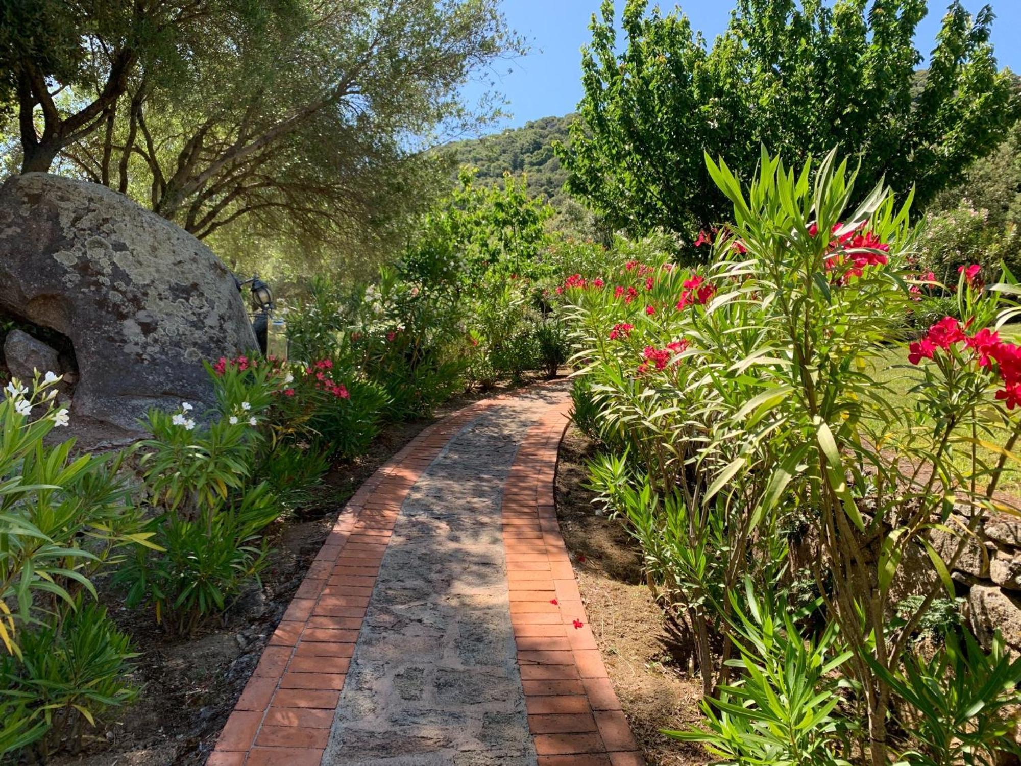 Hotel Valkarana Country Relais (Adults Only) Sant'Antonio di Gallura Exterior foto